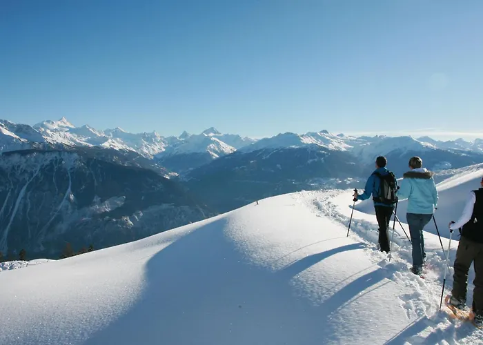 La Foret Ouest C120 By Interhome